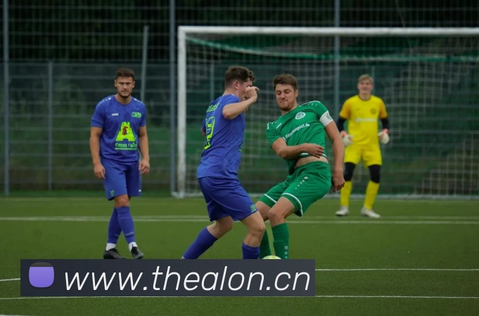 冠军体育首页(中国)官方入口平台生态图